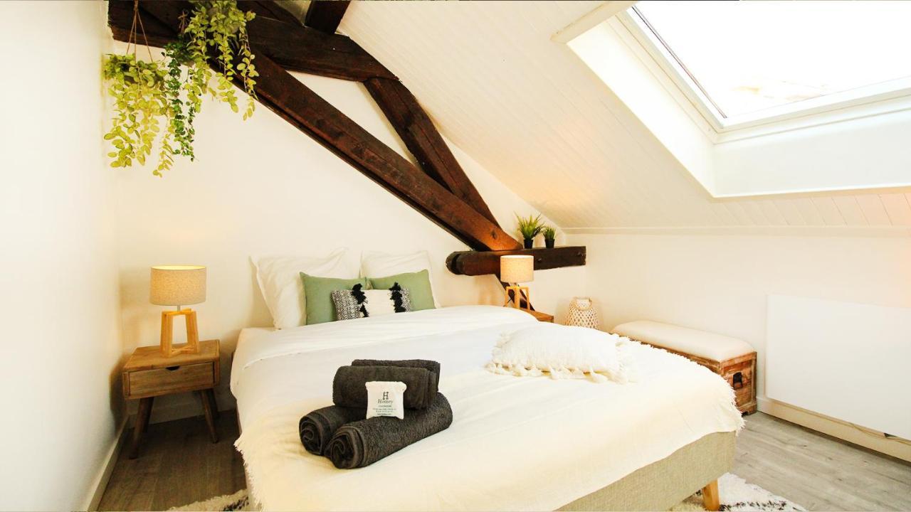 Homey Bella - New / Duplex / Downtown / Close Geneva Annemasse Eksteriør bilde