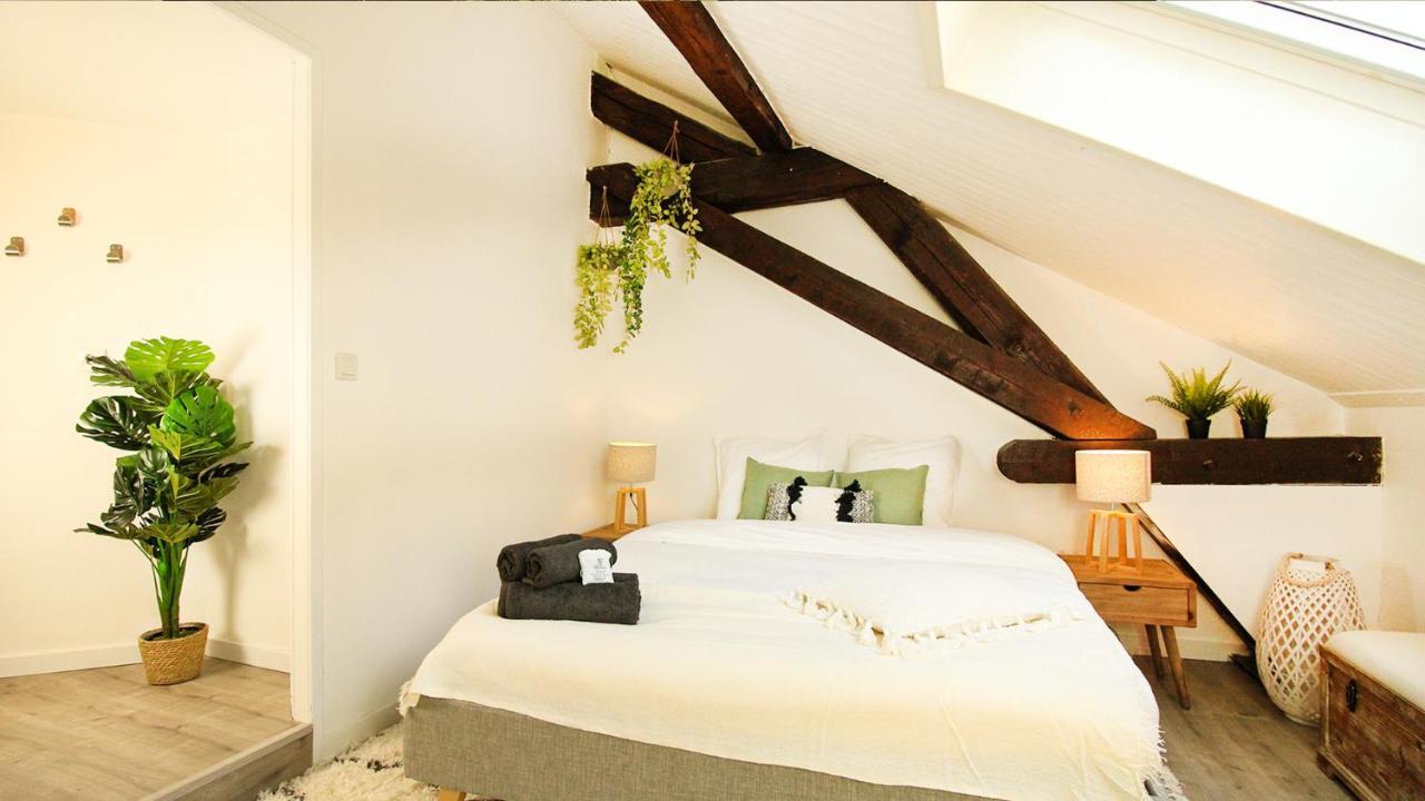 Homey Bella - New / Duplex / Downtown / Close Geneva Annemasse Eksteriør bilde